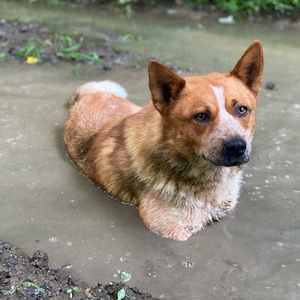 Meet your Posher, Annia